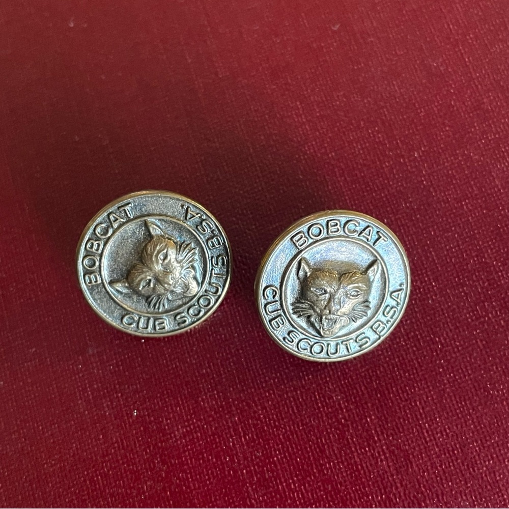 Vintage Boy Scout pin set